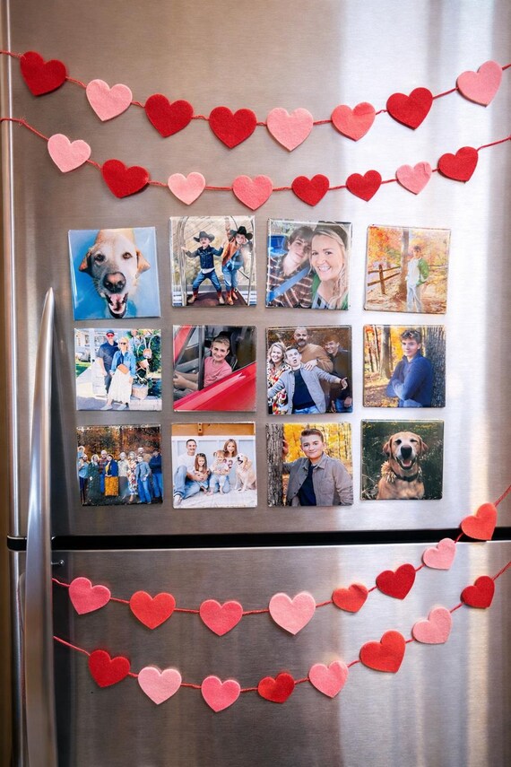 Photo magnets on refrigerator